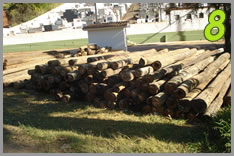 Trator aranha massey ferg